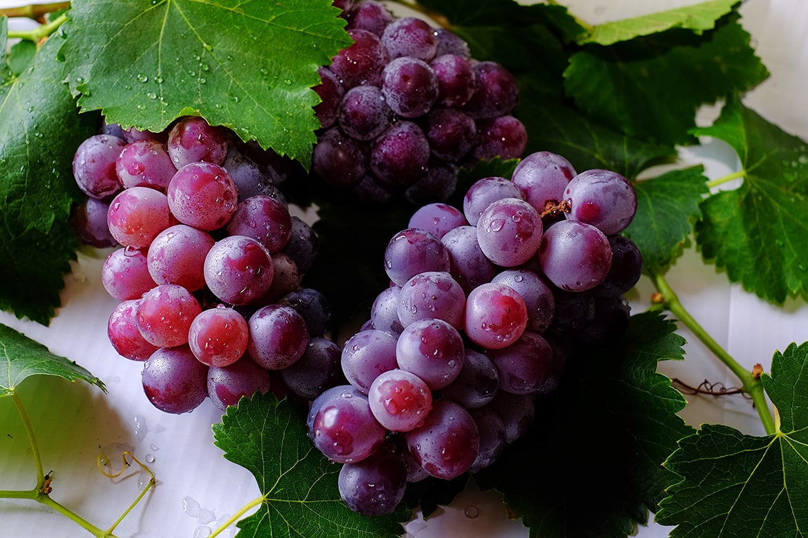 grape seed extract in skincare